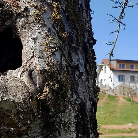 Coeur Vert Oekologisch Mit Viel Ambiente Fuer Seelen-Wellness Ronchamp Ruang foto