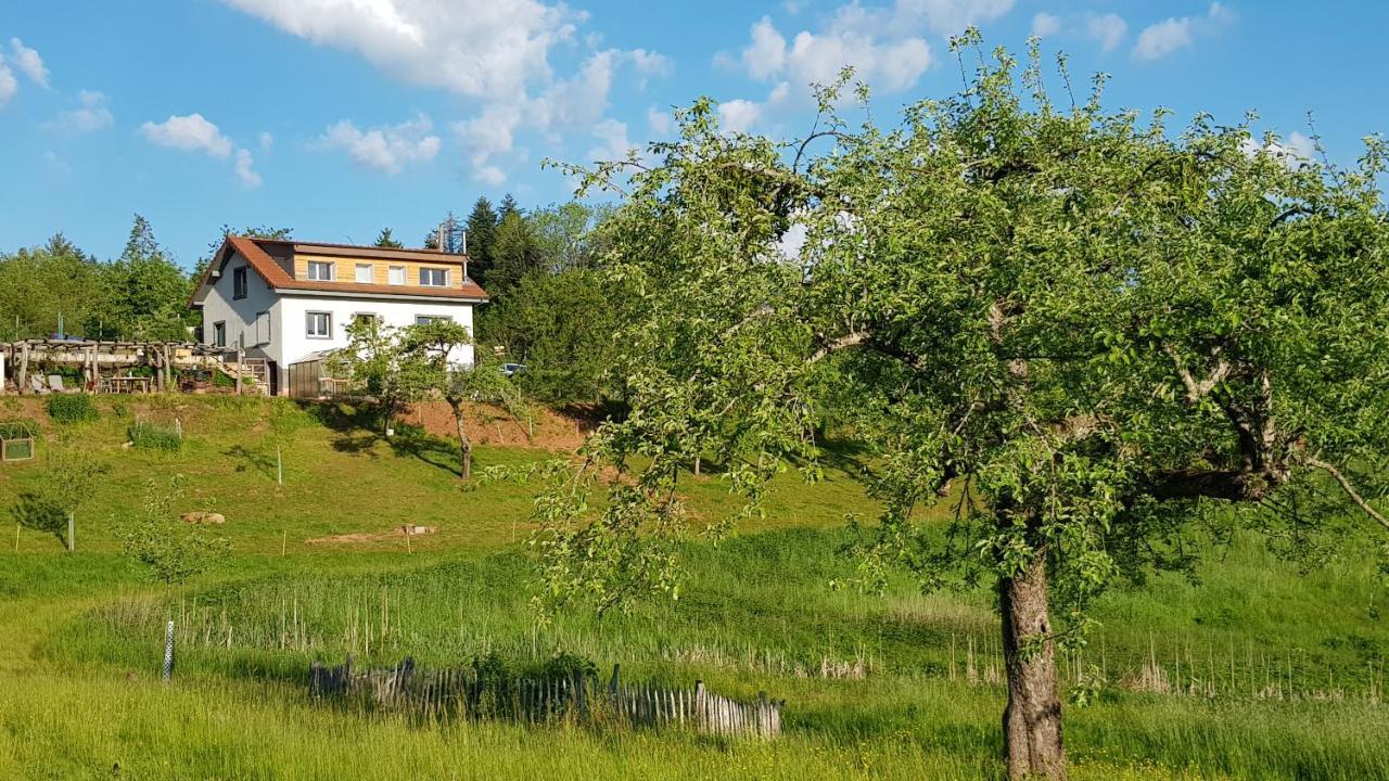 Coeur Vert Oekologisch Mit Viel Ambiente Fuer Seelen-Wellness Ronchamp Bagian luar foto