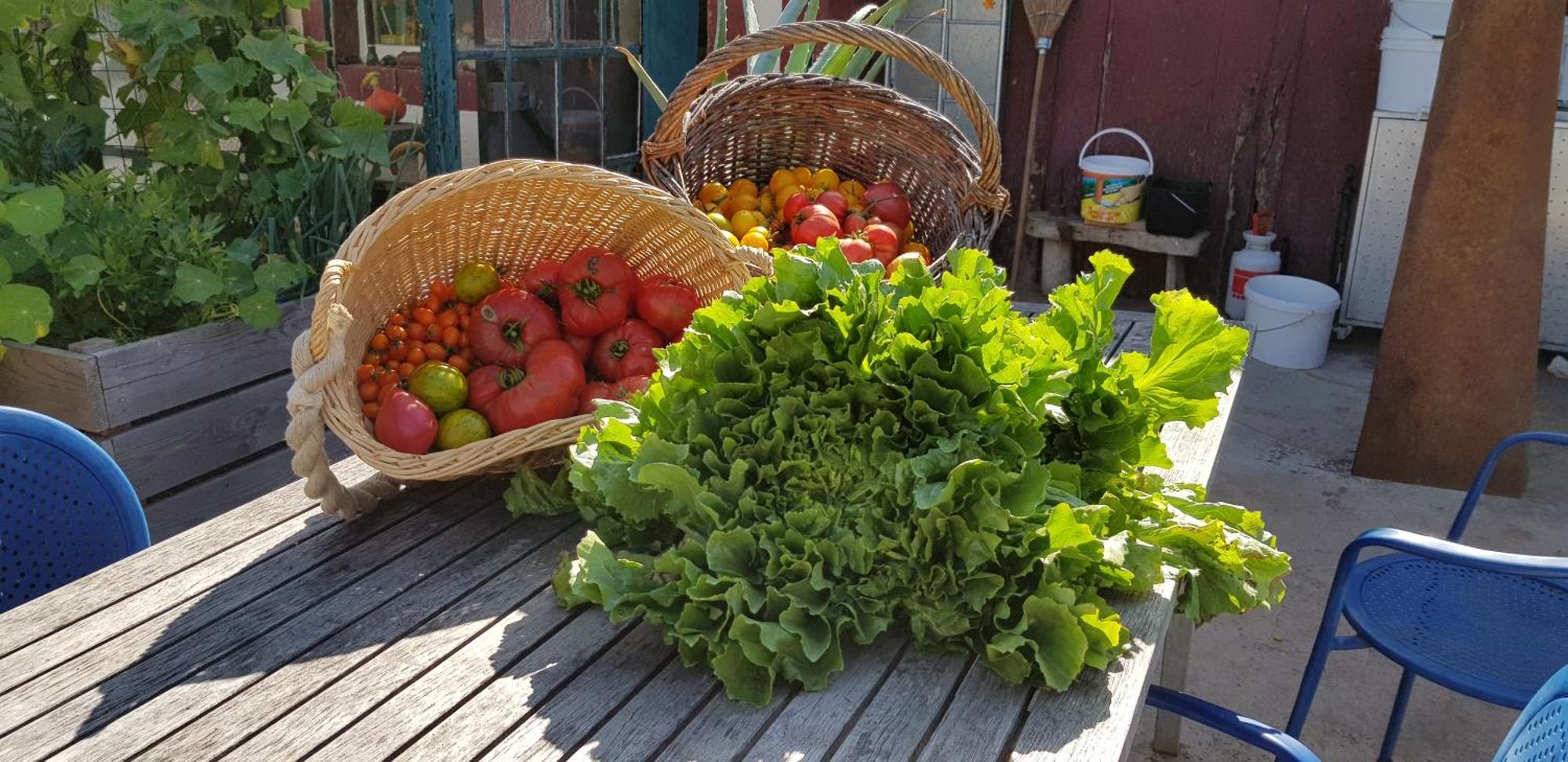 Coeur Vert Oekologisch Mit Viel Ambiente Fuer Seelen-Wellness Ronchamp Ruang foto